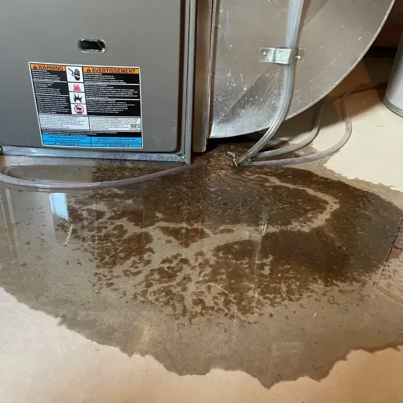 Appliance Leak Cleanup in West Branch, MI